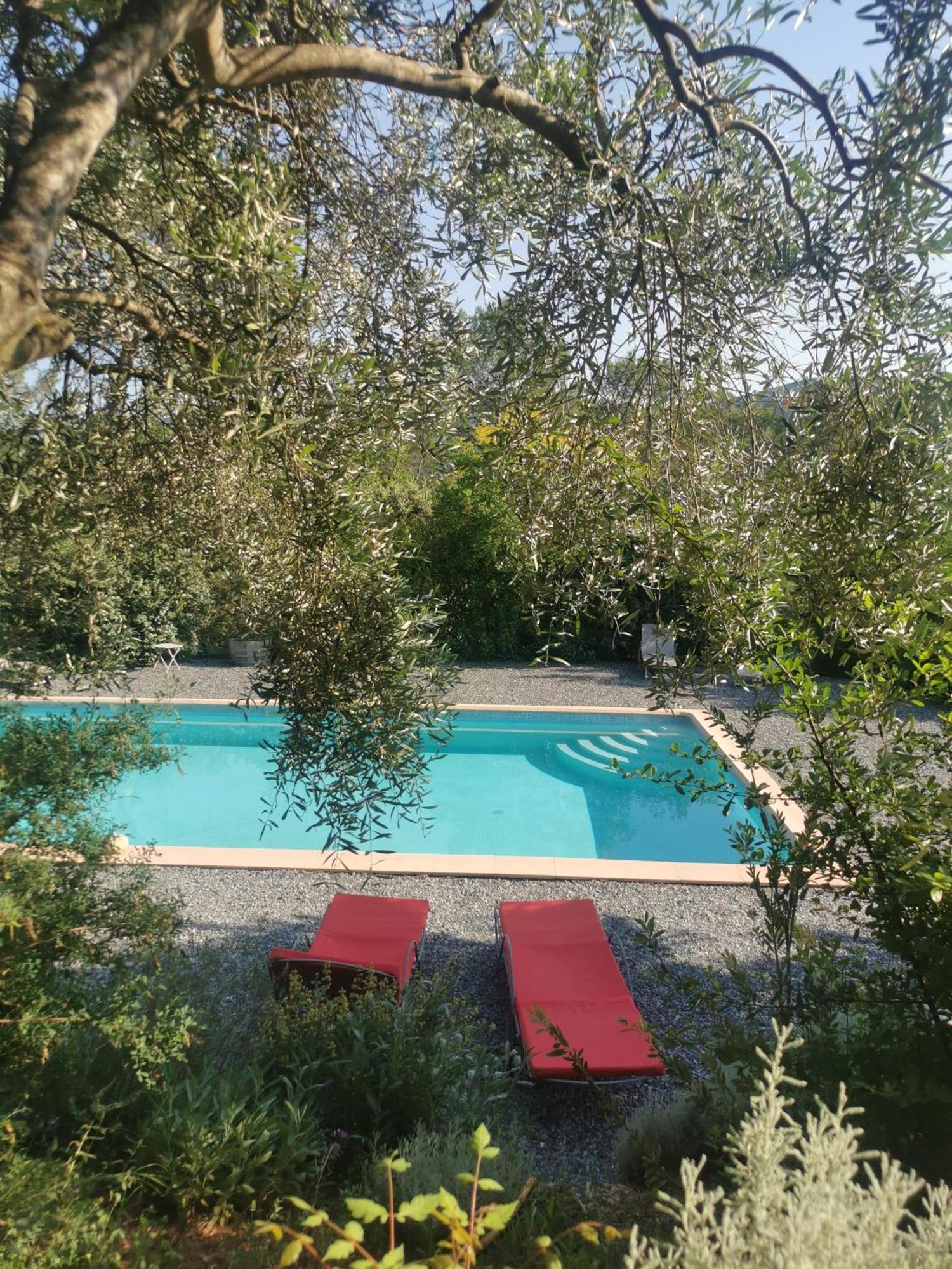 勒托霍奈Bastide Saint Bernard住宿加早餐旅馆 外观 照片